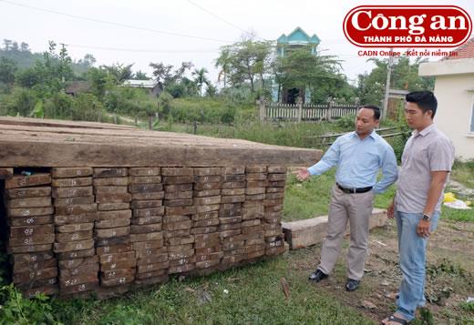 Khởi tố vụ phá rừng đặc dụng Bà Nà-Núi Chúa