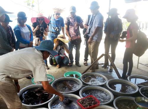 Phát triển bền vững Cù Lao Chàm