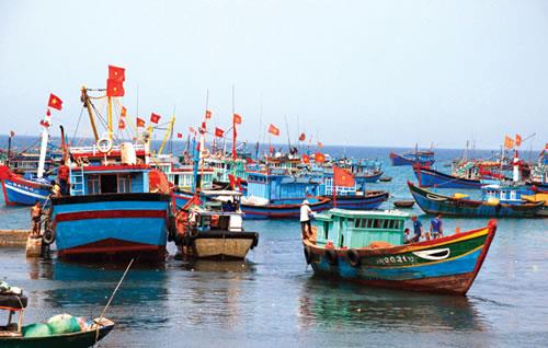 Ngư dân Tam Quang kiên cường bám biển