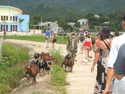 Đến tháng 9-2015, hoàn thành cấp điện lưới quốc gia cho đảo Cù lao Chàm bằng cáp ngầm