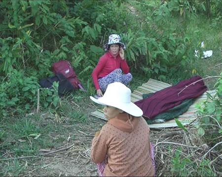 8 người thương vong do hái ươi