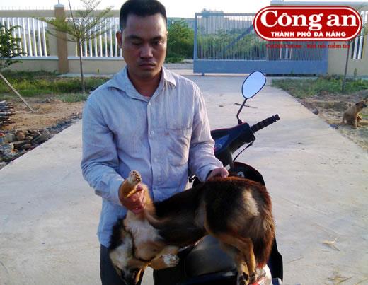 Chạy không thoát