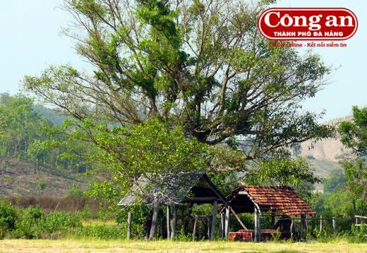 Huyền thoại về những Pơtao không ngai