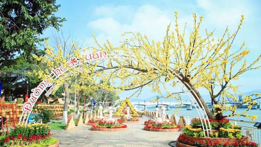 Trang trí hoa và điện chiếu sáng phục vụ Tết Nguyên đán 2015