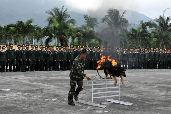 BCH BĐBP TP Đà Nẵng ra quân huấn luyện năm 2015