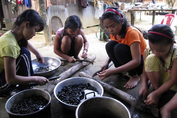 Mùa hè của học trò miền núi