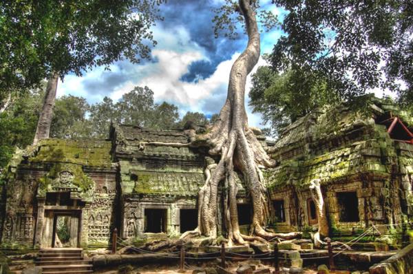 Đền thiêng Ta Prohm