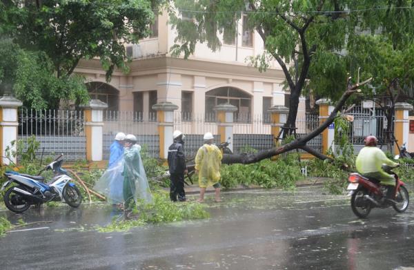 Đà Nẵng gấp rút ứng phó bão số 3