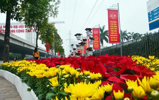 Rực rỡ cờ hoa, sẵn sàng cho Đại hội XII của Đảng