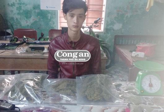 Kinh doanh cần sa tại gia