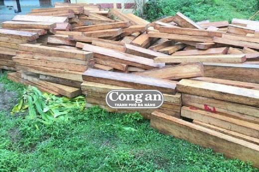 Phát hiện vụ phá rừng pơmu tại khu vực biên giới