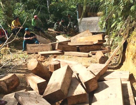 Lộ 60 phách gỗ pơmu sau Trạm KSBP Nam Giang
