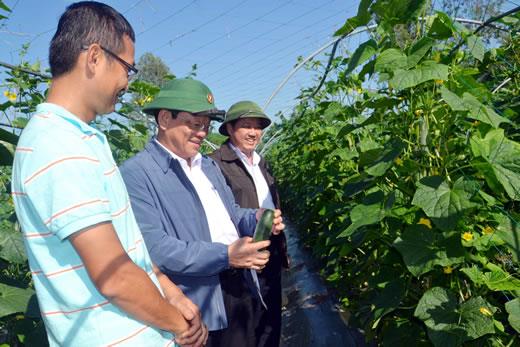 Khảo sát các mô hình sản xuất nông nghiệp công nghệ cao