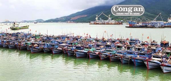 Tăng cường triển khai thực hiện việc xử lý môi trường tại khu vực Âu thuyền và Cảng cá Thọ Quang