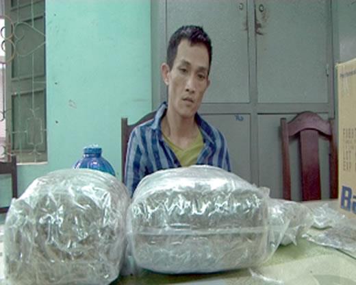 Hồi hương buôn ma túy