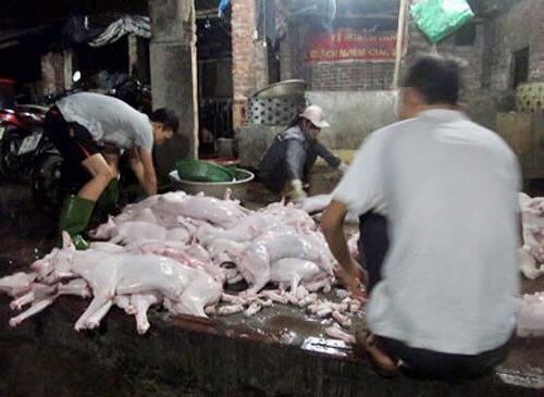 Thịt chó có đảm bảo vệ sinh an toàn thực phẩm?