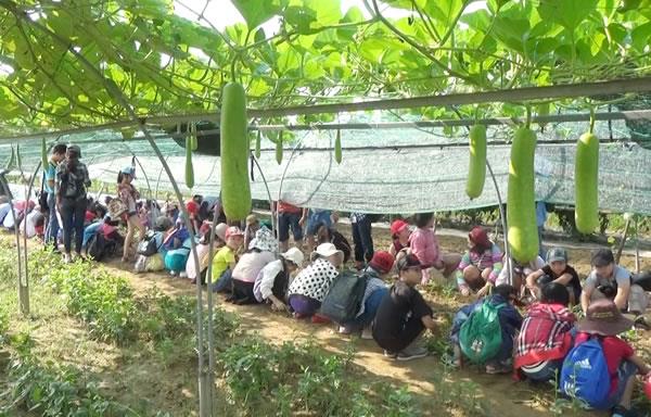 Phác họa vùng du lịch sinh thái đồng quê