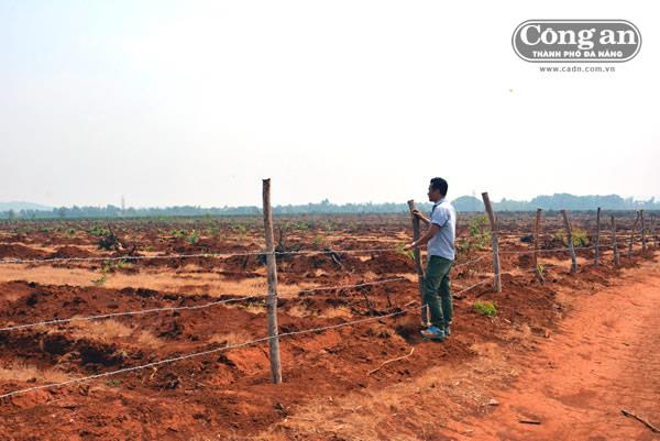 Lộ hàng loạt sai phạm tại BQL rừng phòng hộ Bắc Biển Hồ