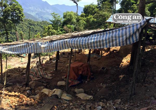 Xung quanh vụ phá rừng tại Khe Đương: Công ty Bông Sen Vàng đã vi phạm pháp luật