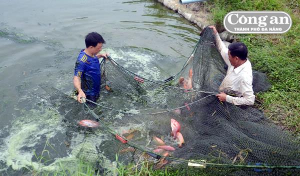 Người dân Hòa Vang trong xây dựng Thôn kiểu mẫu nông thôn mới