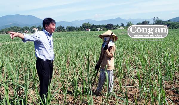 Người 89 về xã ( Kỳ 1: Cây hoa sữa ven đường)