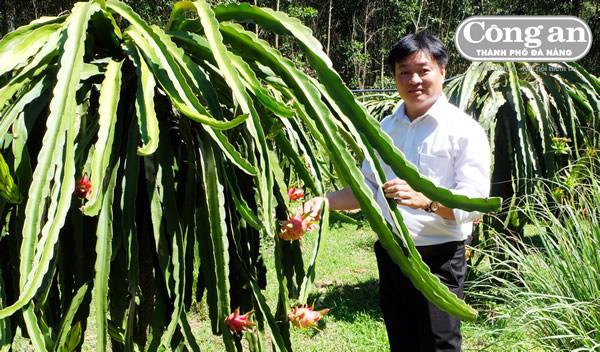 Người 89 về xã (Kỳ 3: Quả thanh long ngon nhất trên đời)