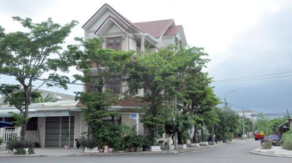 Bài 2: Khi vùng đông chuyển mình