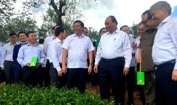 Thủ tướng Nguyễn Xuân Phúc thăm Cty chè Biển Hồ