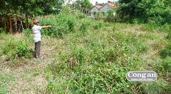 Biếu không 731m2 đất vàng, Chủ tịch, cán bộ địa chính xã Cẩm Thanh bị kỷ luật