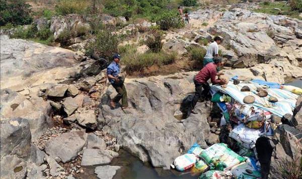 Thủy điện tích nước, hàng trăm héc-ta hoa màu có nguy cơ chết khô