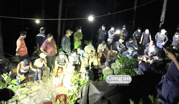 Triệt xóa ổ cờ bạc liên tỉnh giữa rừng phòng hộ Phú Ninh