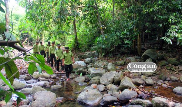 Chuyện nhặt trên lãnh địa voi rừng xứ Quảng (Kỳ 3: Theo dấu đàn voi rừng)