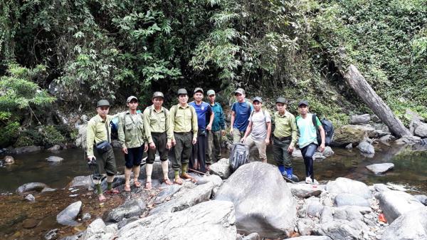 Giữ rừng mùa đại dịch