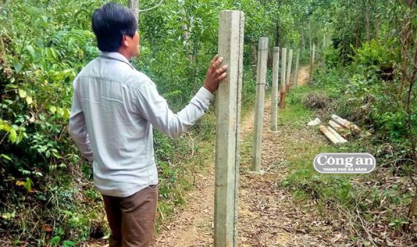 Dân bức xúc vì bị triệt đường vận chuyển gỗ keo