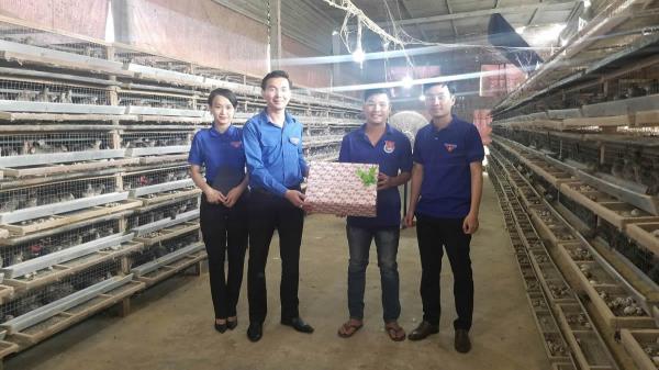 Khát vọng vươn mình của tuổi trẻ Đà Nẵng (Bài 1: Hiệu quả từ những mô hình khởi nghiệp đặc thù của địa phương)