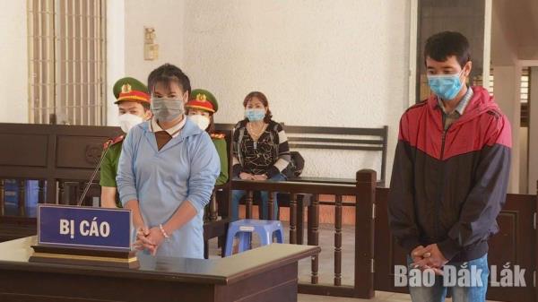 Làm giả sổ đỏ để lừa tiền tỷ