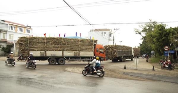 Báo động tình trạng xe chở nguyên liệu mía quá khổ, quá tải